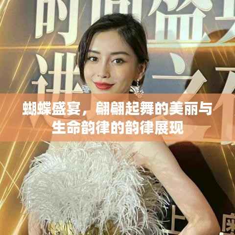 蝴蝶盛宴,翩翩起舞的美丽与生命韵律的韵律展现