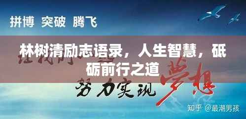 林树清励志语录,人生智慧,砥砺前行之道