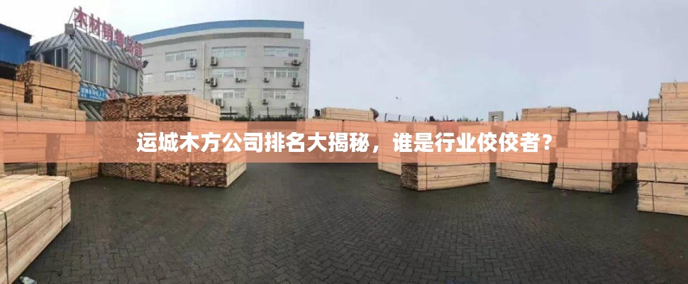 运城木方公司排名大揭秘,谁是行业佼佼者?