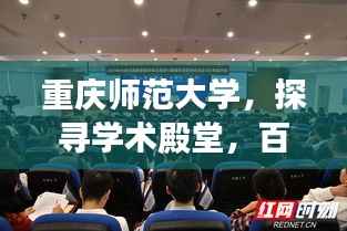 重庆师范大学,探寻学术殿堂,百度权威解读!
