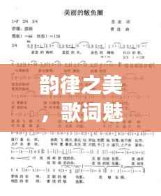 韵律之美，歌词魅力深度解读