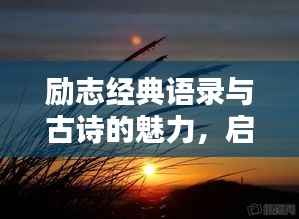 富贵逼人 第2页