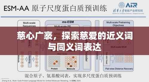 慈心广袤,探索慈爱的近义词与同义词表达