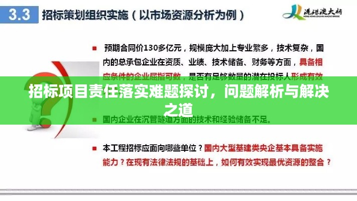 招标项目责任落实难题探讨,问题解析与解决之道