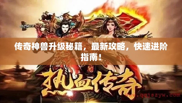 传奇神兽升级秘籍,最新攻略,快速进阶指南!