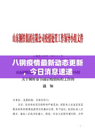 八钢疫情最新动态更新,今日消息速递