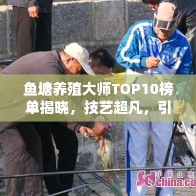 鱼塘养殖大师TOP10榜单揭晓,技艺超凡,引领行业潮流