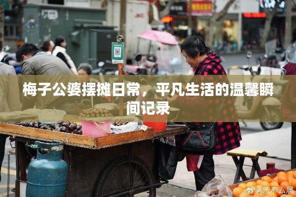 梅子公婆摆摊日常,平凡生活的温馨瞬间记录