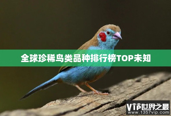 全球珍稀鸟类品种排行榜TOP未知