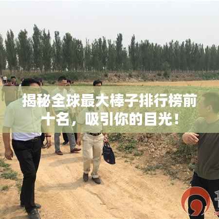 揭秘全球最大棒子排行榜前十名,吸引你的目光!