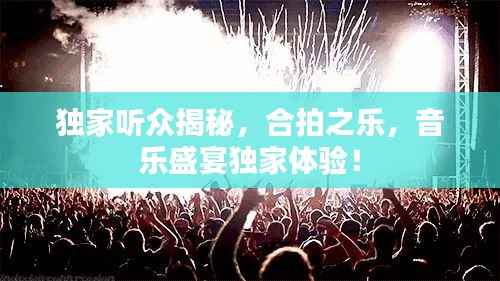 独家听众揭秘,合拍之乐,音乐盛宴独家体验!
