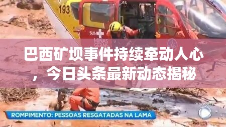 巴西矿坝事件持续牵动人心,今日头条最新动态揭秘
