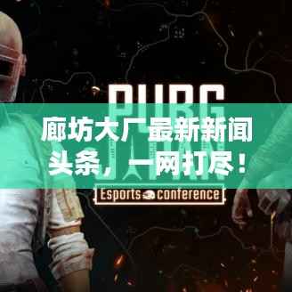 廊坊大厂最新新闻头条，一网打尽！