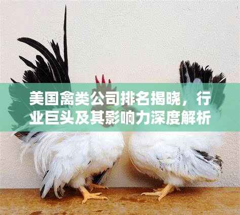 美国禽类公司排名揭晓,行业巨头及其影响力深度解析