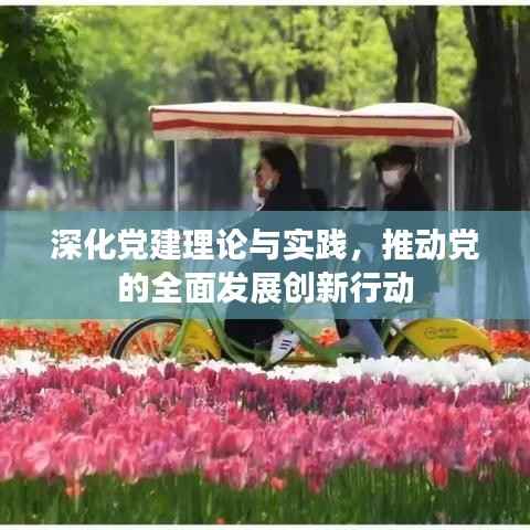 深化党建理论与实践,推动党的全面发展创新行动