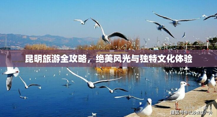 昆明旅游全攻略,绝美风光与独特文化体验