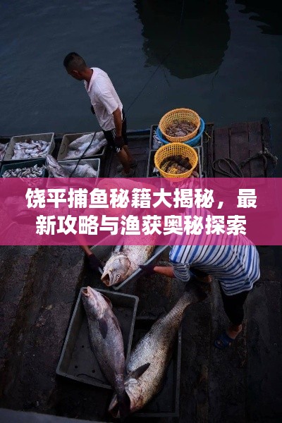 饶平捕鱼秘籍大揭秘,最新攻略与渔获奥秘探索