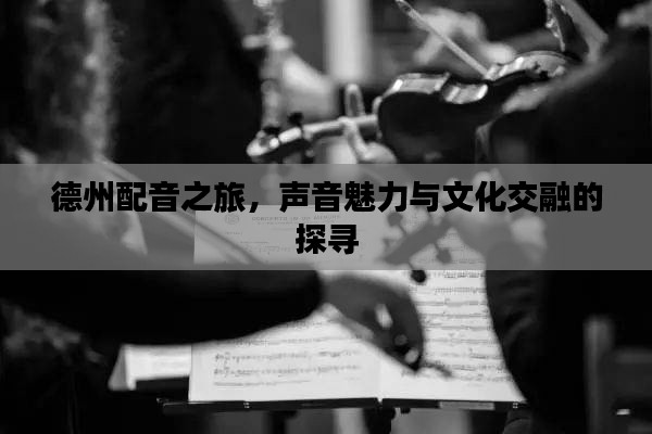 德州配音之旅,声音魅力与文化交融的探寻