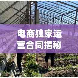 电商独家运营合同揭秘，保障双方权益，共创双赢局面！