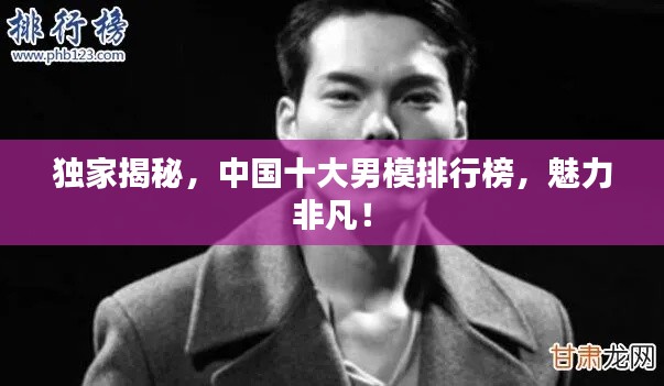 独家揭秘,中国十大男模排行榜,魅力非凡!