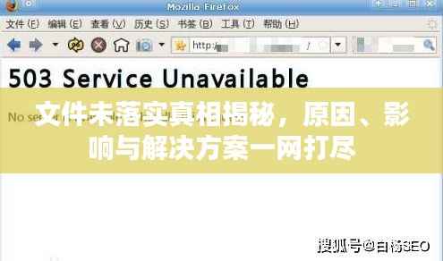 文件未落实真相揭秘,原因、影响与解决方案一网打尽