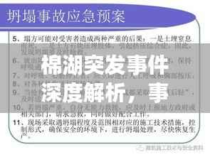 棉湖突发事件深度解析,事件真相、原因及应对之道