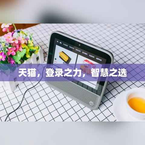 天猫,登录之力,智慧之选