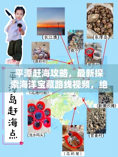 平潭赶海攻略,最新探索海洋宝藏路线视频,绝佳指南!