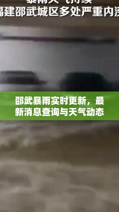 邵武暴雨实时更新,最新消息查询与天气动态