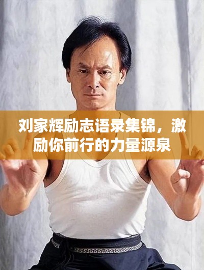 刘家辉励志语录集锦,激励你前行的力量源泉