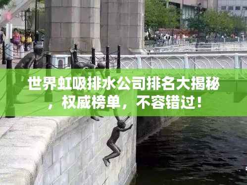 世界虹吸排水公司排名大揭秘,权威榜单,不容错过!
