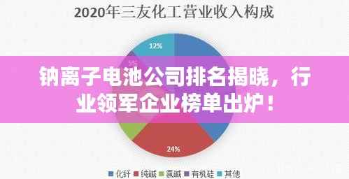 钠离子电池公司排名揭晓，行业领军企业榜单出炉！
