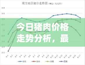 今日猪肉价格走势分析,最新市场报价及影响因素探讨