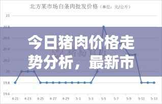 今日猪肉价格走势分析,最新市场报价及影响因素探讨