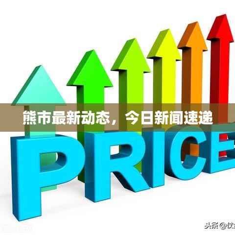 熊市最新动态,今日新闻速递