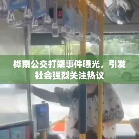 桦南公交打架事件曝光,引发社会强烈关注热议