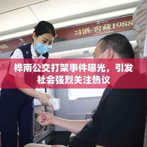 桦南公交打架事件曝光,引发社会强烈关注热议