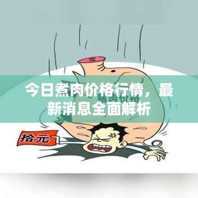 今日煮肉价格行情,最新消息全面解析