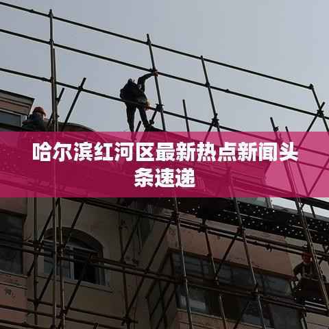 哈尔滨红河区最新热点新闻头条速递
