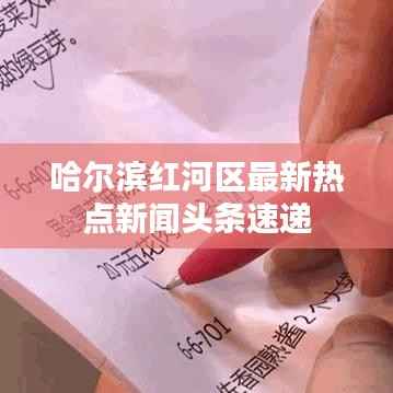 哈尔滨红河区最新热点新闻头条速递
