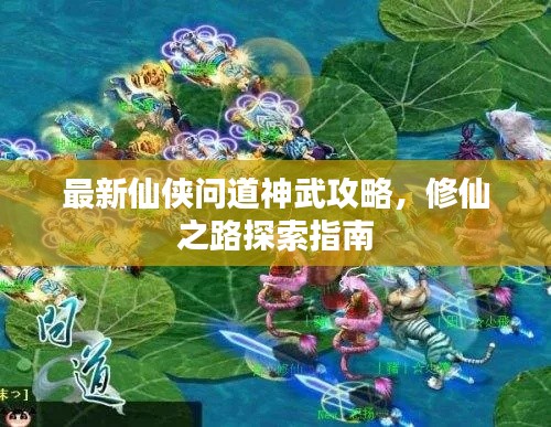 最新仙侠问道神武攻略,修仙之路探索指南