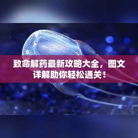 致命解药最新攻略大全,图文详解助你轻松通关!