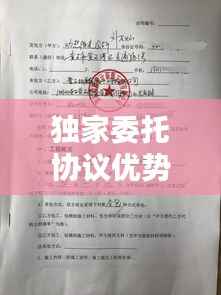 独家委托协议优势揭秘,房屋权益最大化保障!