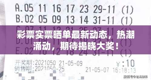 彩票实票晒单最新动态,热潮涌动,期待揭晓大奖!