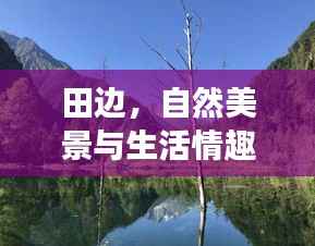 翰飞戾天 第2页