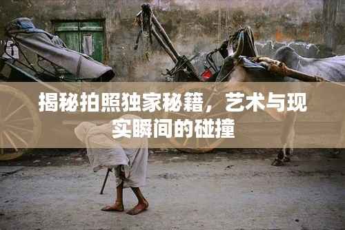 揭秘拍照独家秘籍,艺术与现实瞬间的碰撞