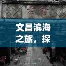 文昌滨海之旅,探秘海南魅力海岸线攻略