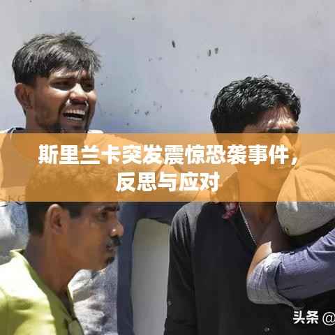 七贵三公 第2页