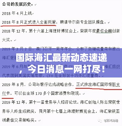 国际海汇最新动态速递,今日消息一网打尽!