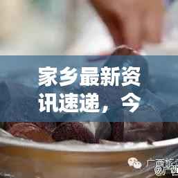 家乡最新资讯速递,今日头条全掌握